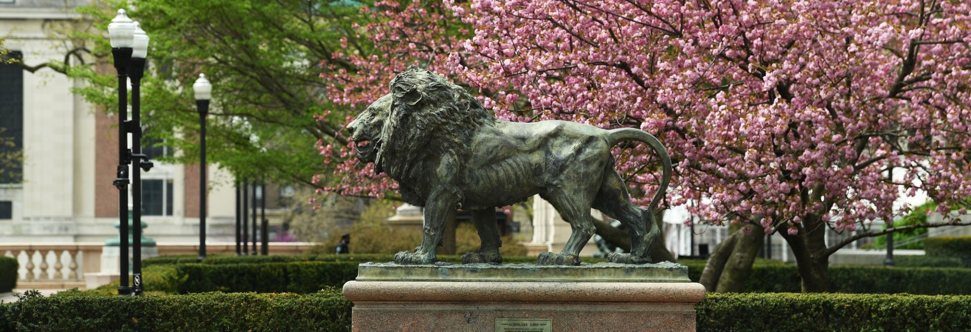 Lion statue on campus