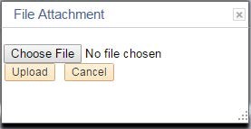The File Attachment window appears.