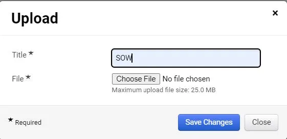 The upload window. 