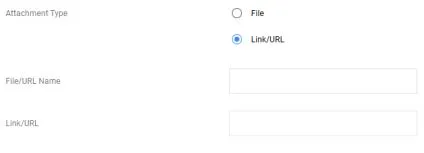 Attachment type close up screenshot with Link/URL highlighted as the attachment type. 