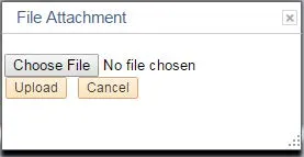 The File Attachment window appears.