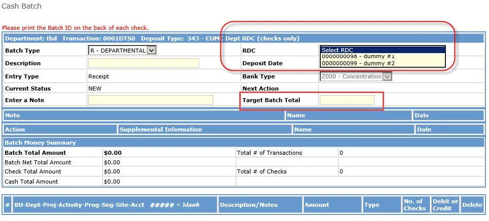 Click Next. The Cash Batch form appears. 