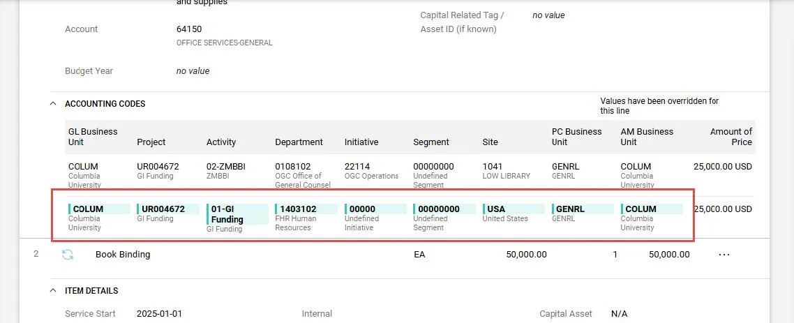 Accounting Codes example screen