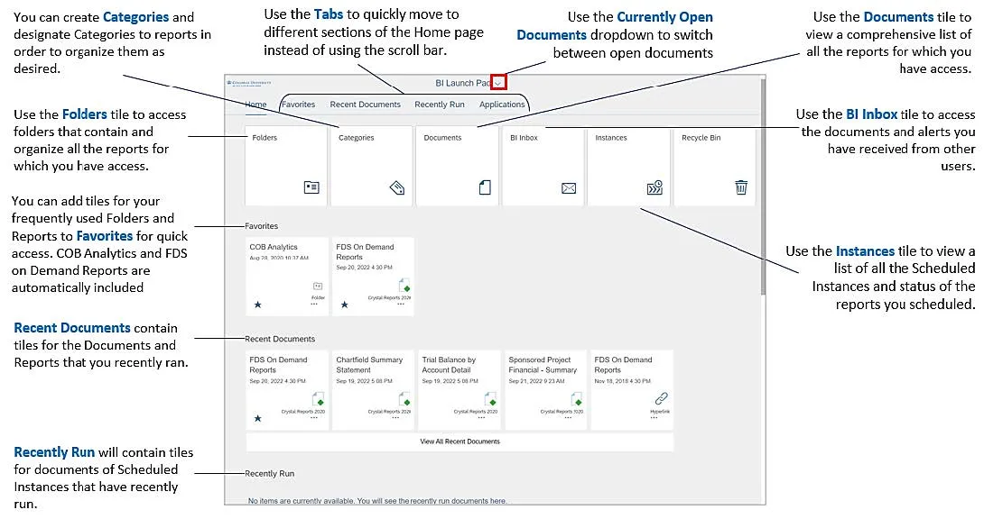 Navigating the BI Launch Pad Graphic