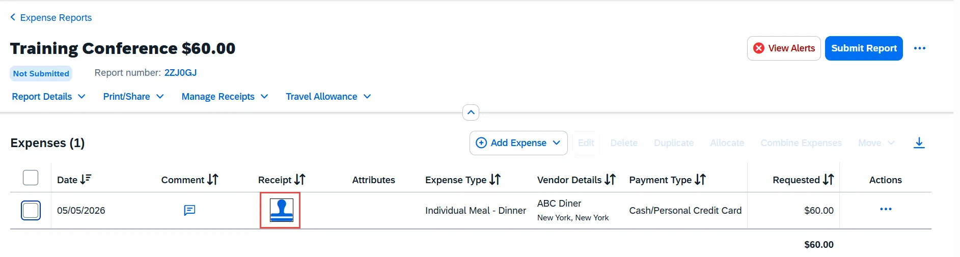 Expense Report with Missing Receipt Declaration