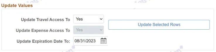 In the Update Values section, select the Yes or No in the Update Travel Access to and Update Expense Access to dropdowns.